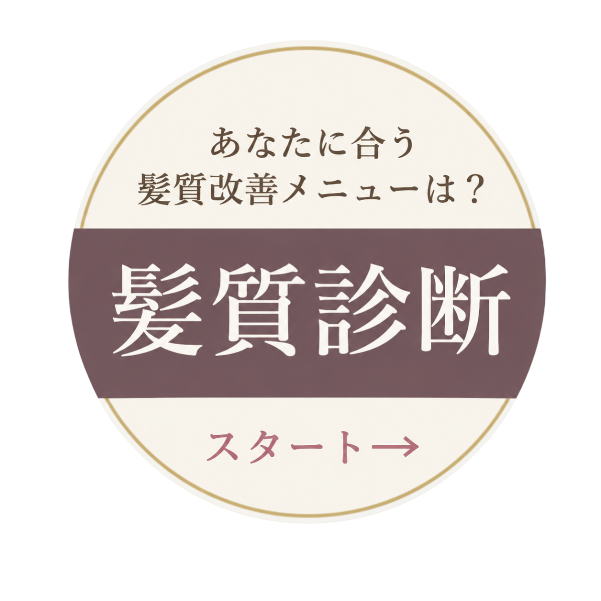 髪質診断